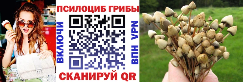 Псилоцибиновые грибы прущие грибы  Прохладный 