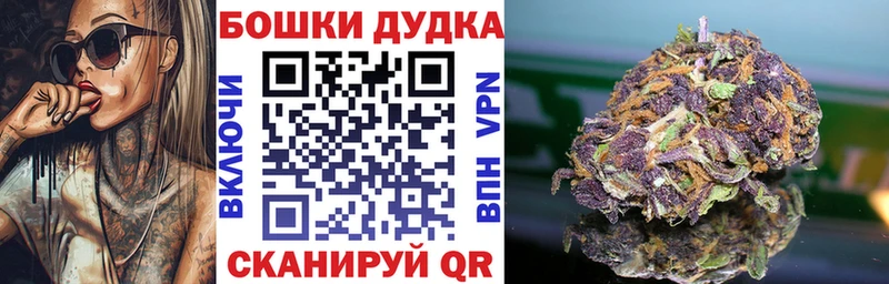 shop состав  kraken онион  Бошки марихуана LSD WEED  Прохладный  как найти закладки 